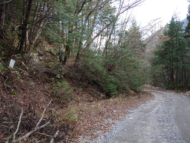 �����X�ѓS���u�������؎��Ə��v