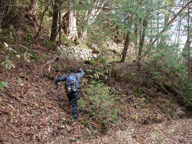 �����X�ѓS���u�������؎��Ə��v