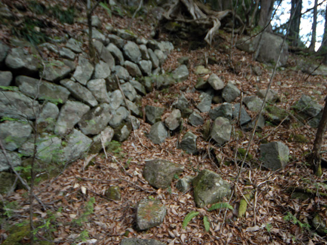 �����X�ѓS���u�������؎��Ə��v