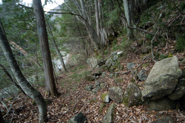 �����X�ѓS���u�������؎��Ə��v