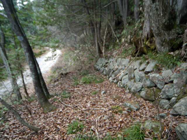 �����X�ѓS���u�������؎��Ə��v