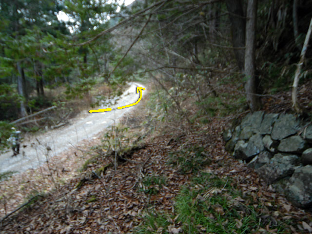 �����X�ѓS���u�������؎��Ə��v