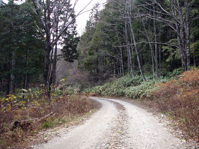 �����X�ѓS���u�������؎��Ə��v