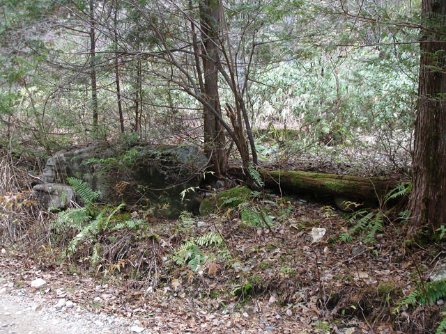 �����X�ѓS���u�������؎��Ə��v