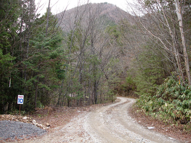 �����X�ѓS���u�ѓ��������[�������؎��Ə��v