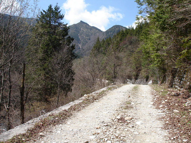 �����X�ѓS���u�ѓ��������[�������؎��Ə��v