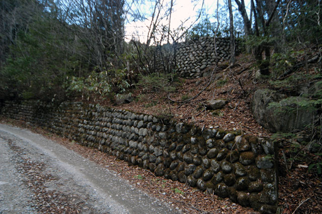 �����X�ѓS���u�ѓ��������[�������؎��Ə��v