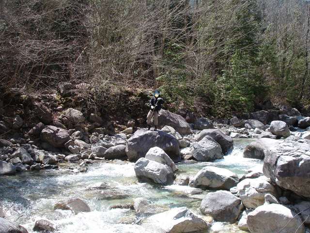 �����X�ѓS���u�ѓ��������[�������؎��Ə��v