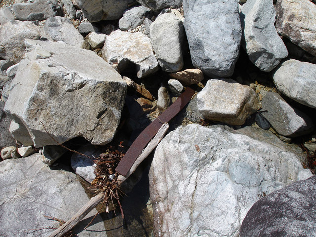 �����X�ѓS���u�������6�������v