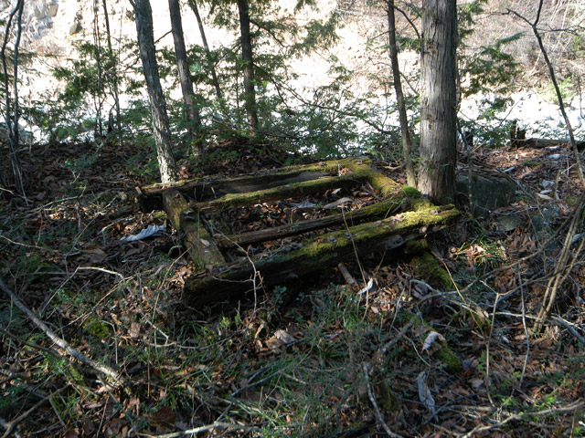 �����X�ѓS���u�ѓ��������[�������؎��Ə��v