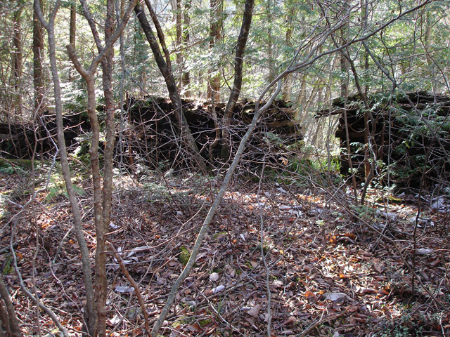 �����X�ѓS���u�������6�������[���򋴗��v