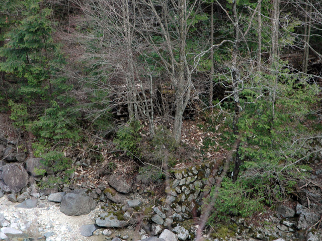 �����X�ѓS���u�������6�������[���򋴗��v