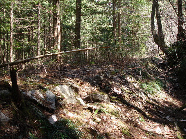 �����X�ѓS���u�������6�������[���򋴗��v