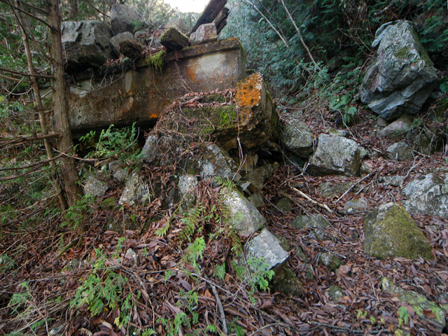 �����X�ѓS��,���򋴗�