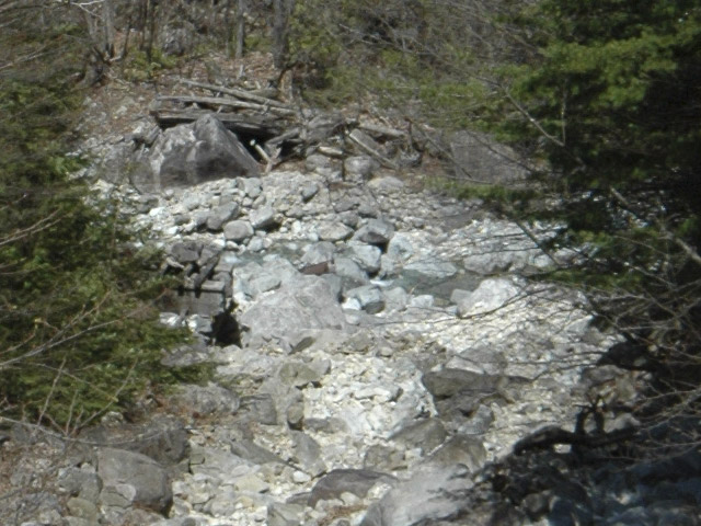 �����X�ѓS��,���򋴗�