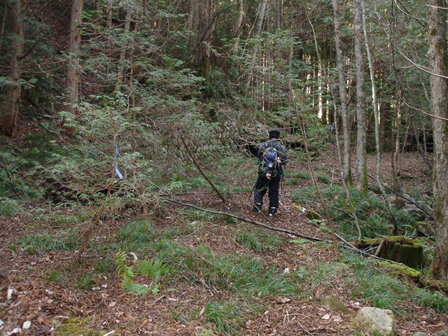 �����X�ѓS���u���򋴗��[����w�A�s���J�[���v