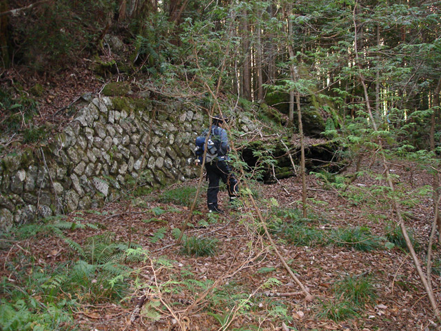 �����X�ѓS���u���򋴗��[����w�A�s���J�[���v