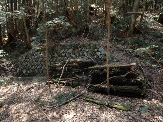 �����X�ѓS���u���򋴗��[����w�A�s���J�[���v