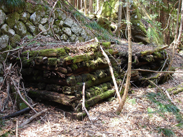 �����X�ѓS���u���򋴗��[����w�A�s���J�[���v