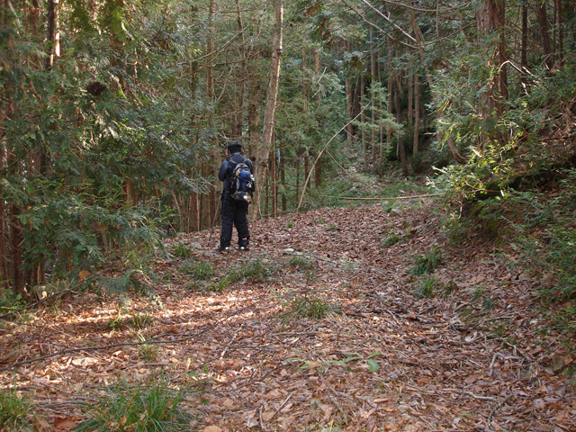 ��K�X�ѓS��������,����w�A�s���J�[�u,�ѓS,�p����