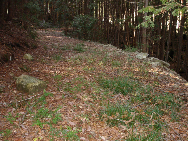 ��K�X�ѓS��������,����w�A�s���J�[�u,�ѓS,�p����