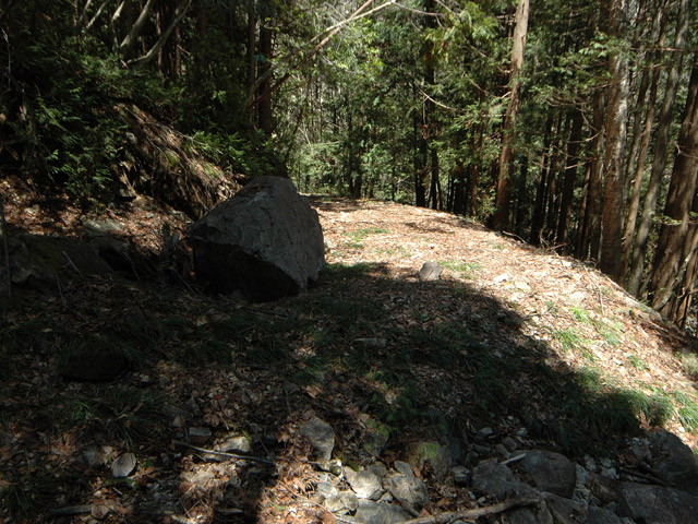 ��K�X�ѓS��������,����w�A�s���J�[�u,�ѓS,�p����