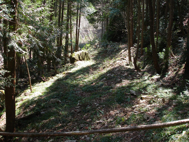 ��K�X�ѓS��������,����w�A�s���J�[�u,�ѓS,�p����