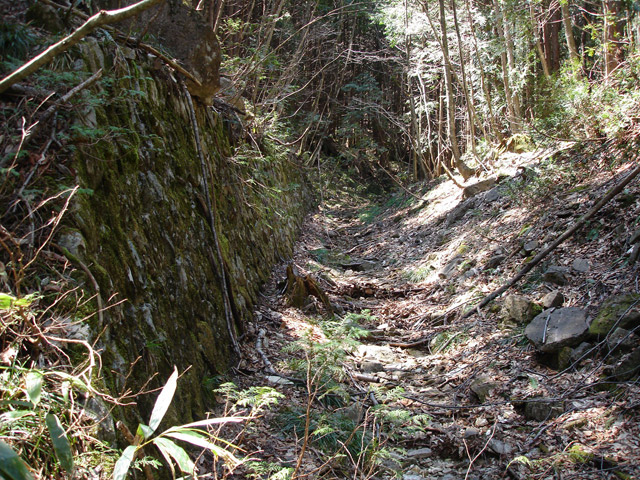 �����ѓS,�ؑ]�X�ѓS��,�����k�J,�p����,��\