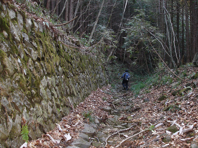 �����ѓS,�ؑ]�X�ѓS��,�����k�J,�p����,��\