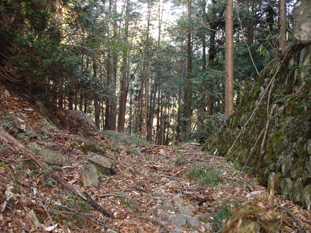 �����ѓS,�ؑ]�X�ѓS��,�����k�J,�p����,��\