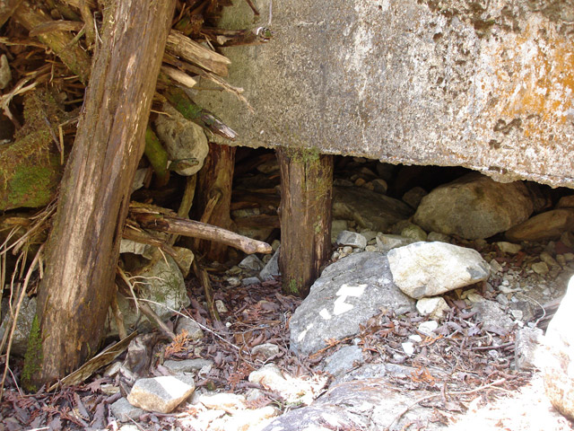 �����X�ѓS��,�ѓS,�p����,����,�p����