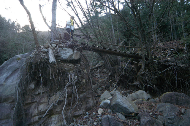 �����X�ѓS��,�ѓS,�p����,�����k�J