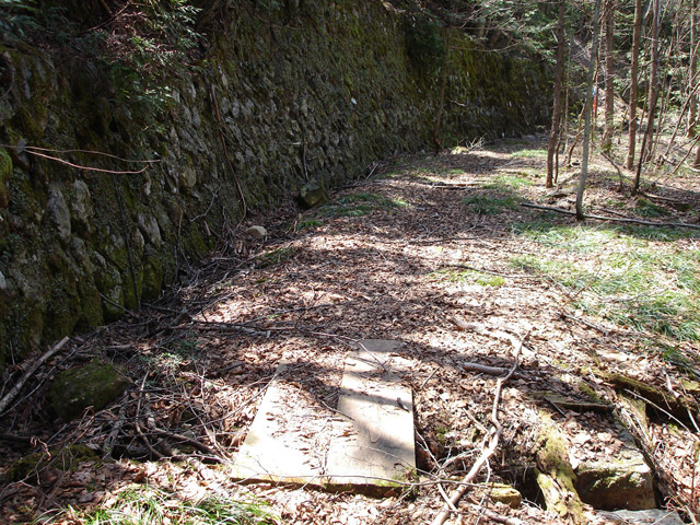 �����X�ѓS��,�ѓS,�p����,�����k�J