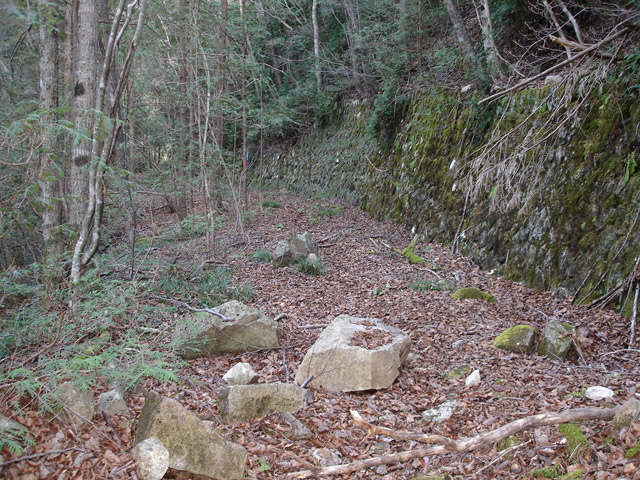 �����X�ѓS��,�ѓS,�p����,�����k�J