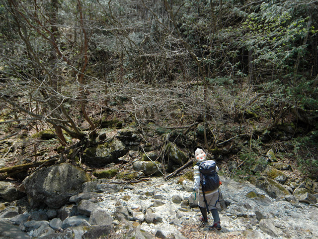 �����X�ѓS��,�ѓS,�p����,�����k�J