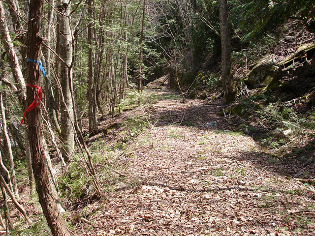 �����X�ѓS��,�ѓS,�p����,�����k�J