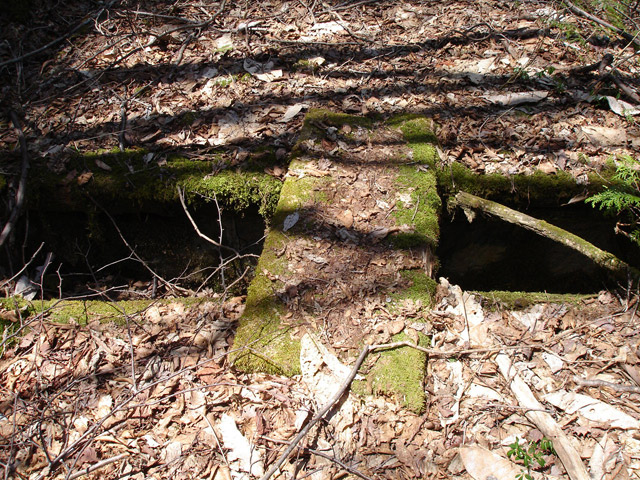 �����X�ѓS��,�ѓS,�p����,�����k�J