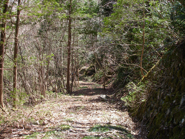 �����X�ѓS��,�ѓS,�p����,�����k�J