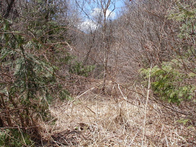 ��K�X�ѓS��������,�ѓS,�p����,�t�m����ԏ�