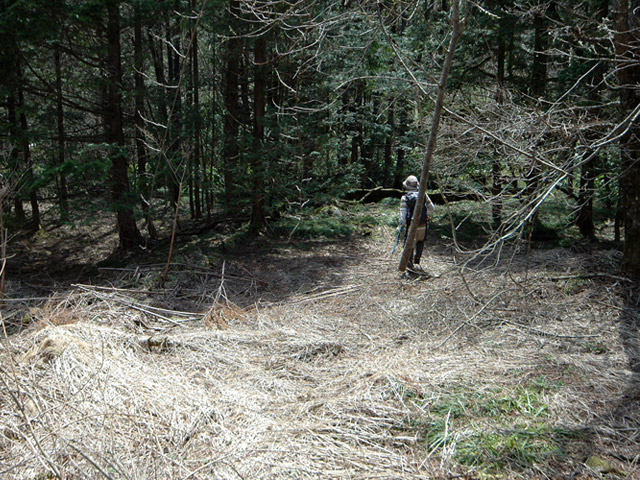 ��K�X�ѓS��������,�ѓS,�p����,�t�m����ԏ�