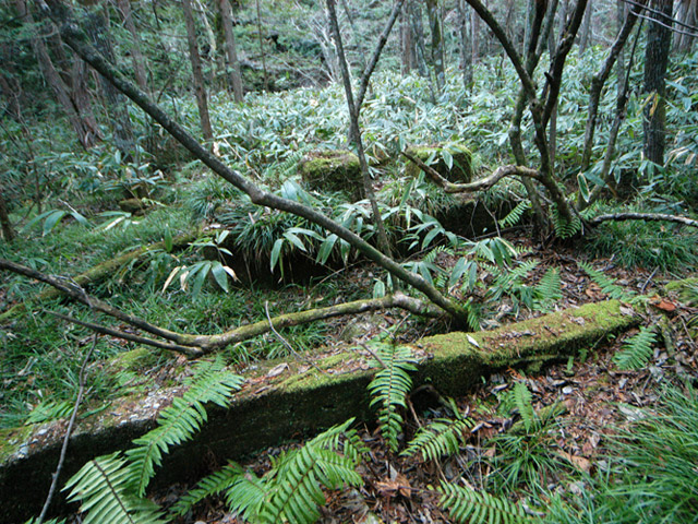 ��K�X�ѓS��������,�ѓS,�p����,�t�m����ԏ�