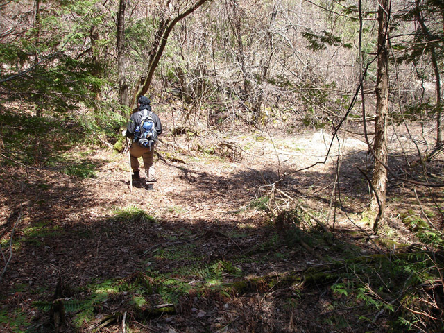 ��K�X�ѓS��������,�ѓS,�p����,�t�m����ԏ�