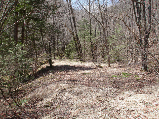 ��K�X�ѓS��������,�ѓS,�p����,�t�m����ԏ�