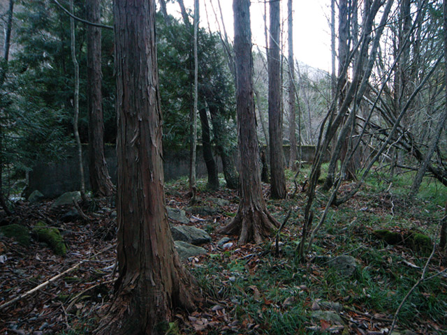 ��K�X�ѓS��������,�ѓS,�p����,�t�m����ԏ�