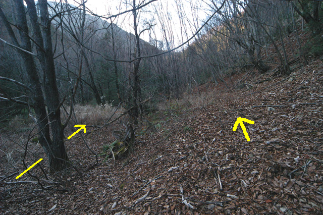 �ѓS,��K�X�ѓS��������,�p����,�O����,�t�m����ԏ�