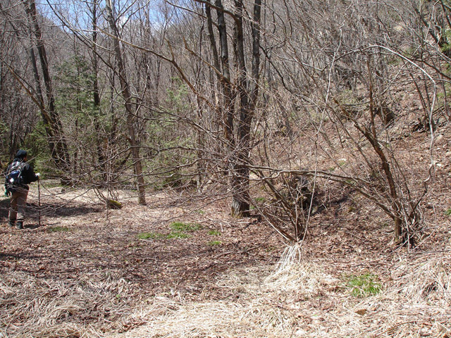 �ѓS,��K�X�ѓS��������,�p����,�O����,�t�m����ԏ�