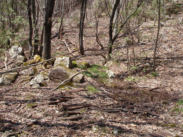 �ѓS,��K�X�ѓS��������,�p����,�O����,�t�m����ԏ�