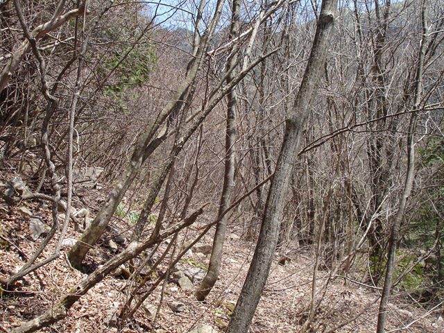 �ѓS,��K�X�ѓS��������,�p����,�O����,�t�m����ԏ�