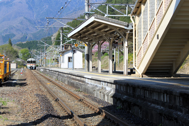 ��������,�{���w,��K��,�v���b�g�z�[��,JR���C313�n�d��