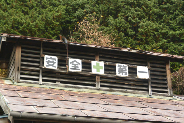 �ɓސ�X�ѓS��,�{�����؏�,���o��,�p����,�ѓS,�C�U��